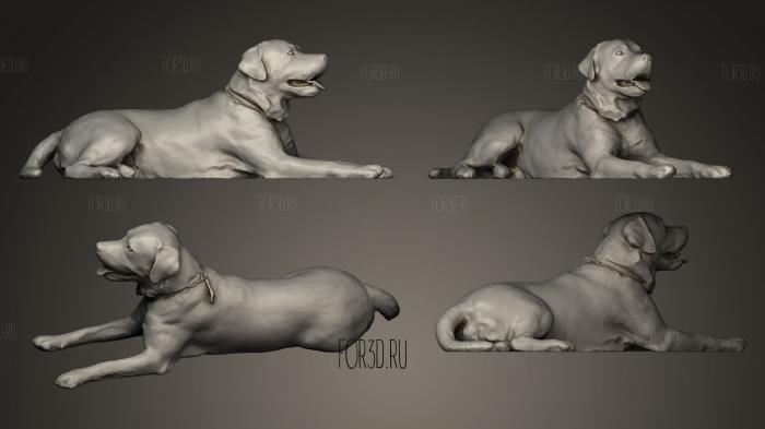 DOG Fake Fur stl model for CNC